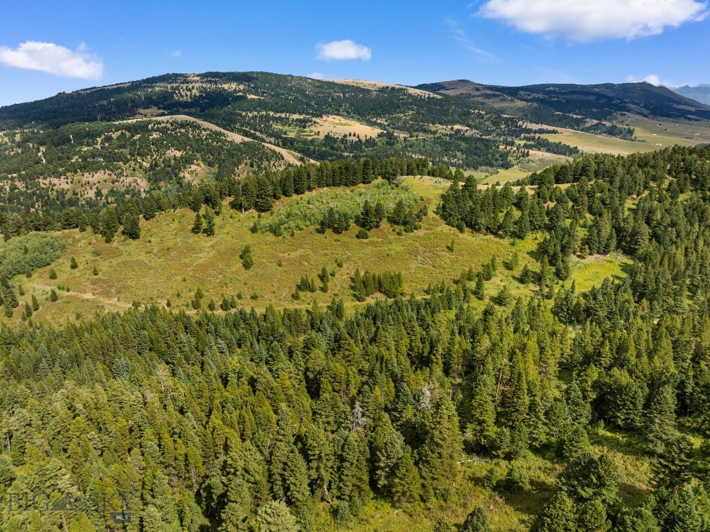 1010 Goose Ridge Road, Bozeman MT 59715