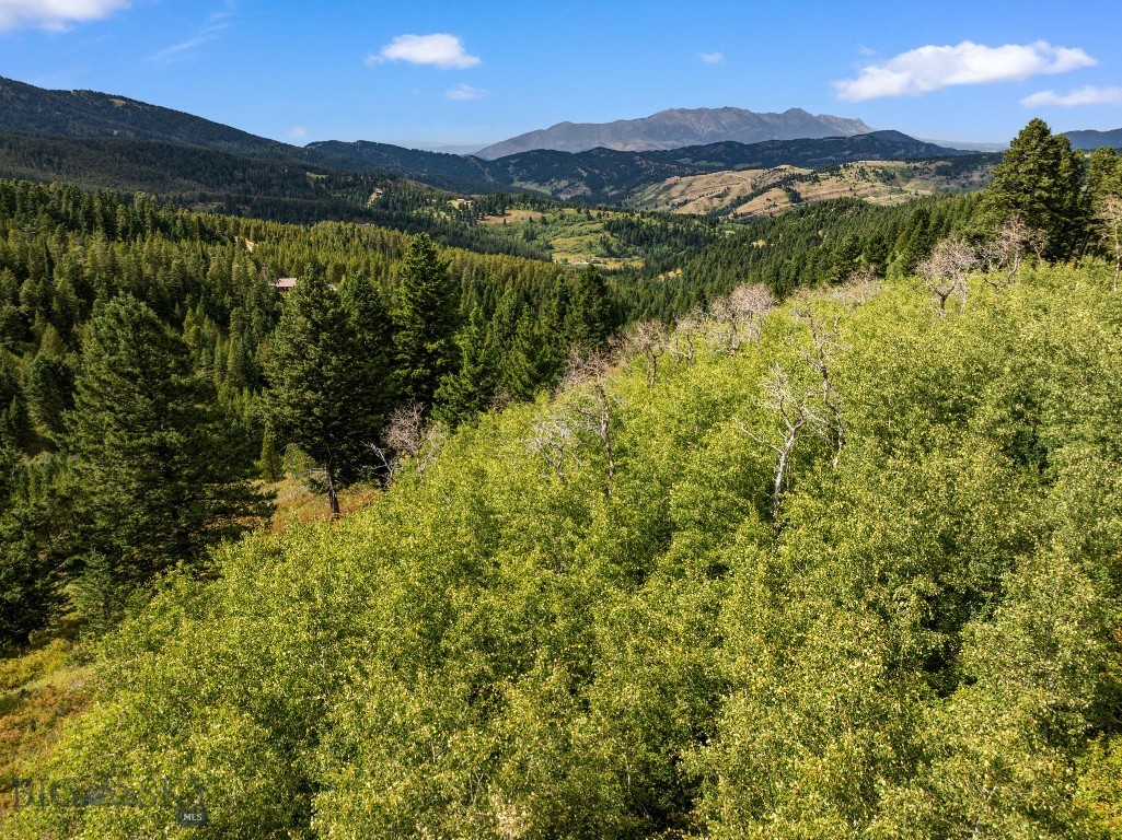 1010 Goose Ridge Road, Bozeman MT 59715