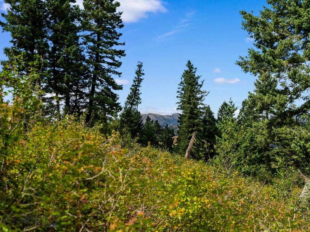 1010 Goose Ridge Road, Bozeman MT 59715