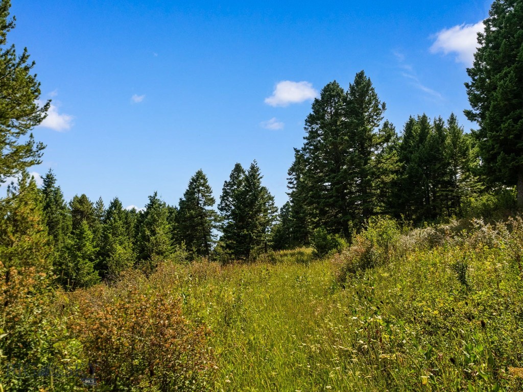 1010 Goose Ridge Road, Bozeman MT 59715