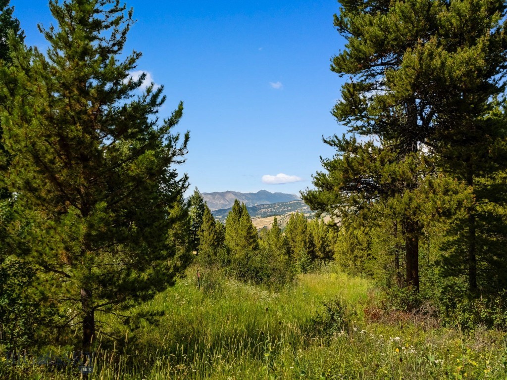 1010 Goose Ridge Road, Bozeman MT 59715