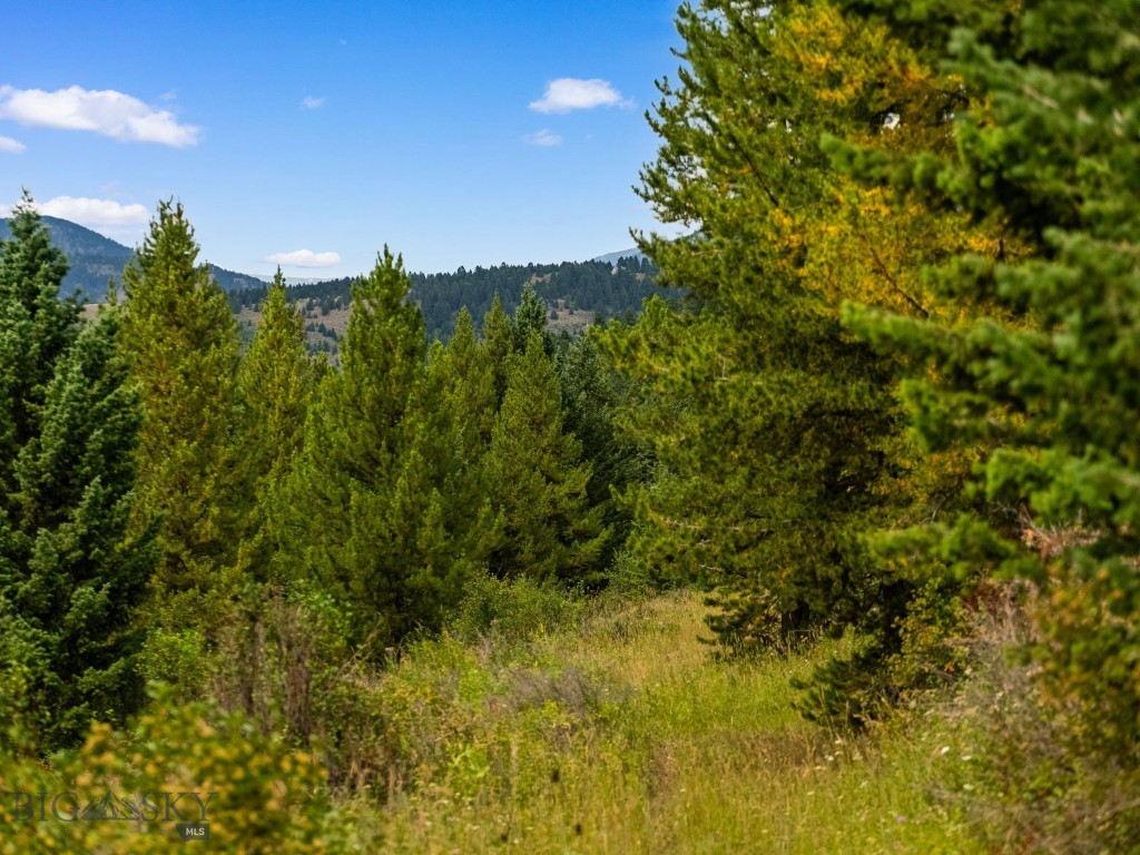 1010 Goose Ridge Road, Bozeman MT 59715