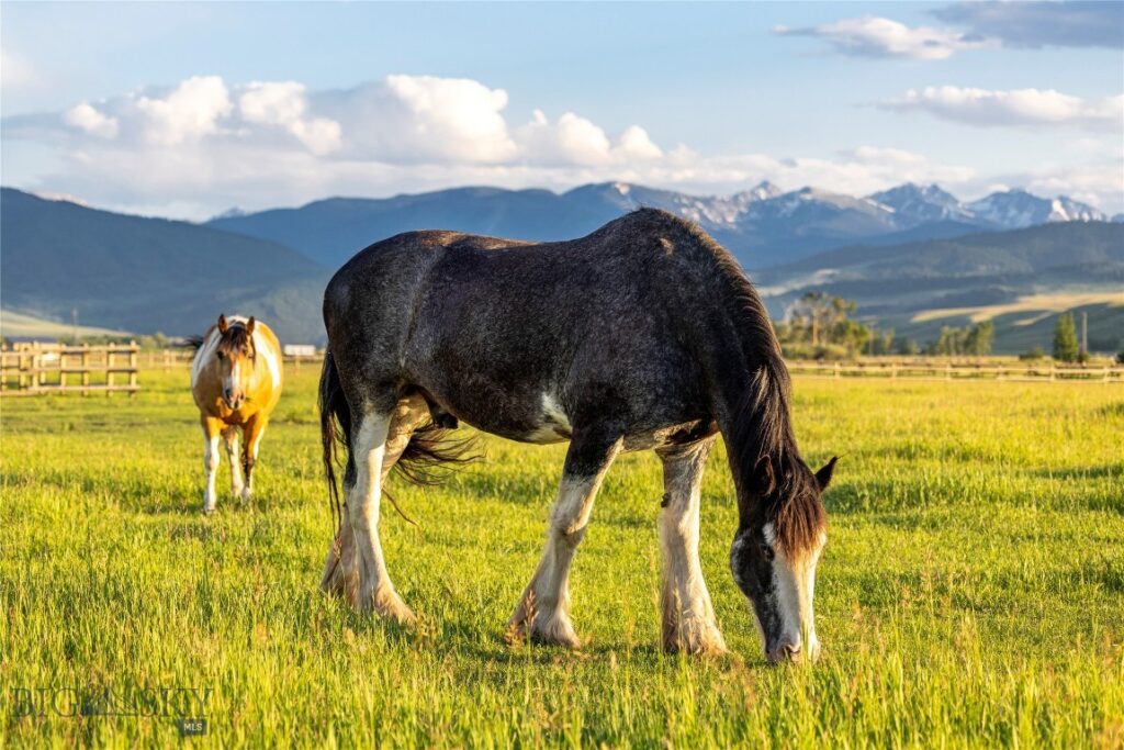 1021 Gateway South Road, Gallatin Gateway MT 59730