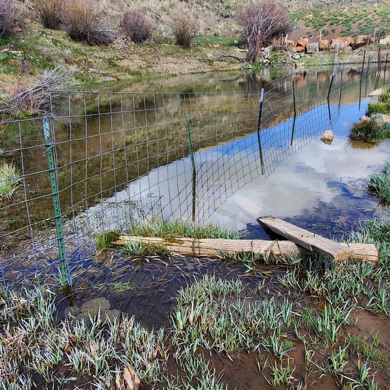 Unk Lima Dam Road, Lima MT 59739