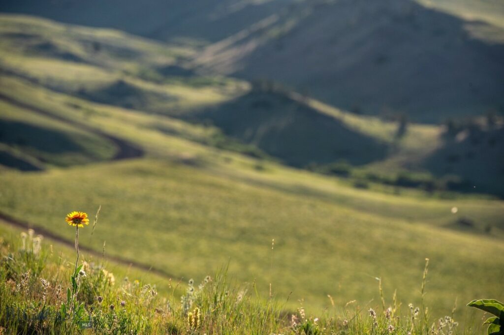 NHN Frontage Road, Livingston MT 59047