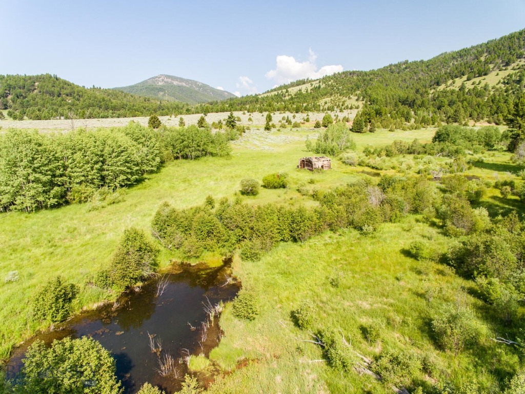 40 Cataract Creek Rd Road, Basin MT 59631