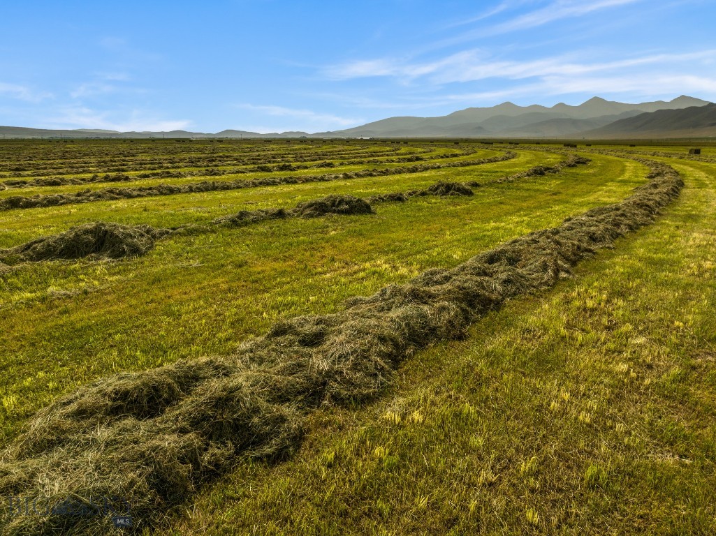 Elk Meadows Ranch 3569 Gosman Lane, Lima MT 59724