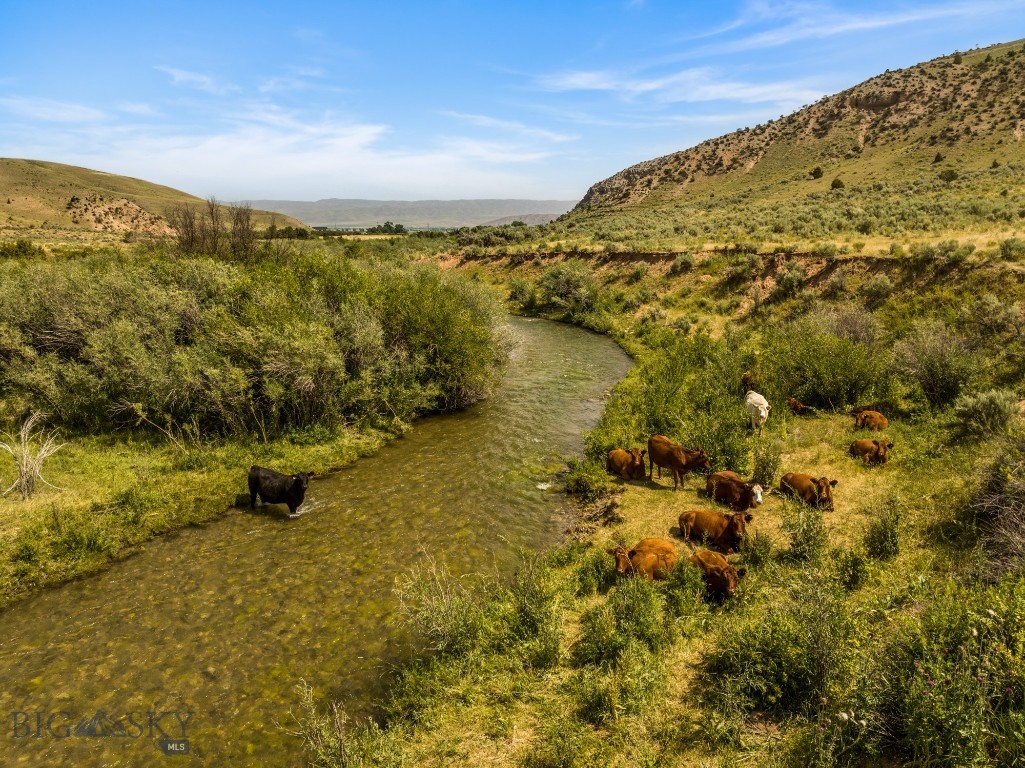 Elk Meadows Ranch 3569 Gosman Lane, Lima MT 59724