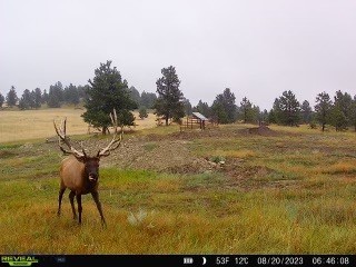 TBD West Parrott Creek, Roundup MT 59072