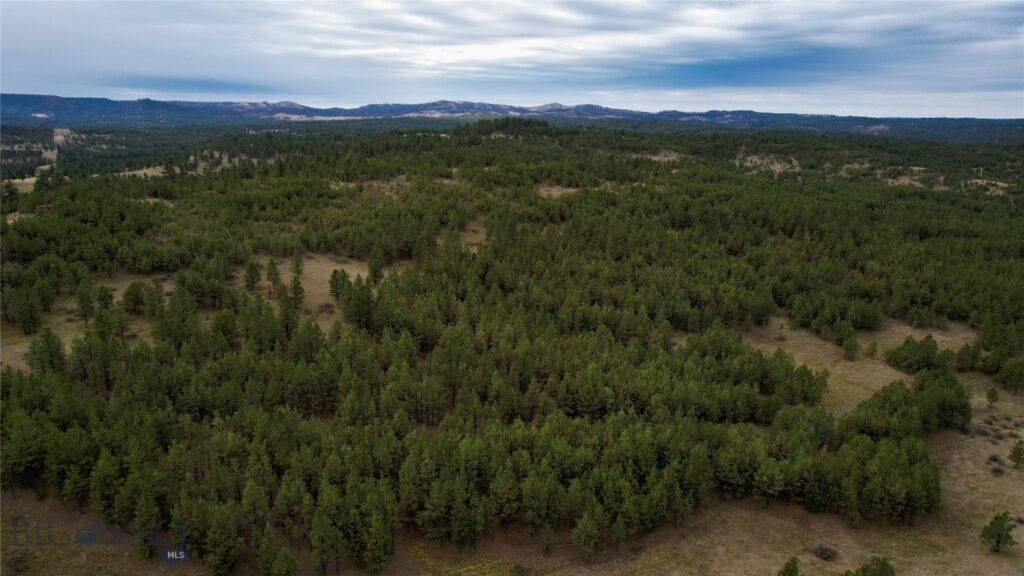 TBD West Parrott Creek, Roundup MT 59072