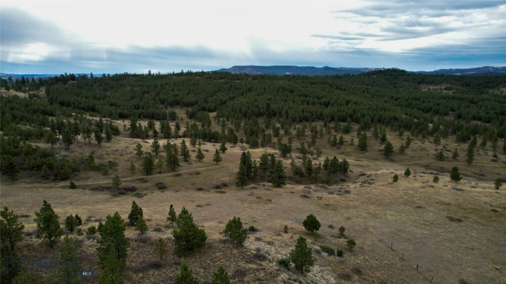 TBD West Parrott Creek, Roundup MT 59072