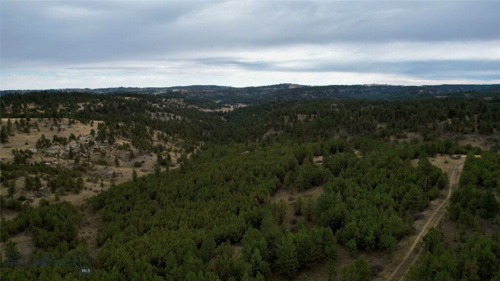 TBD West Parrott Creek, Roundup MT 59072