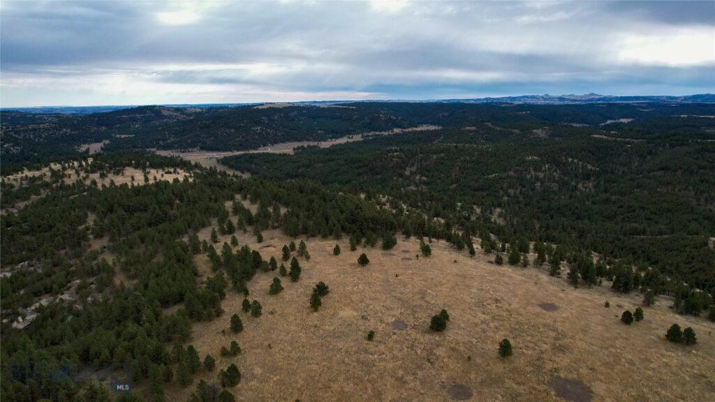 TBD West Parrott Creek, Roundup MT 59072