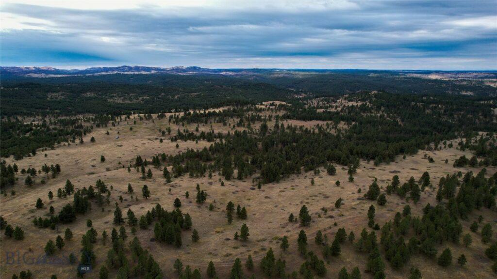 TBD West Parrott Creek, Roundup MT 59072