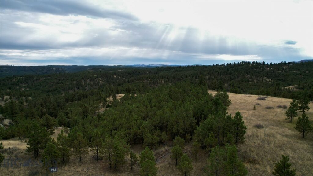 TBD West Parrott Creek, Roundup MT 59072