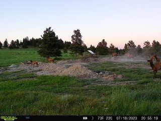 TBD West Parrott Creek, Roundup MT 59072