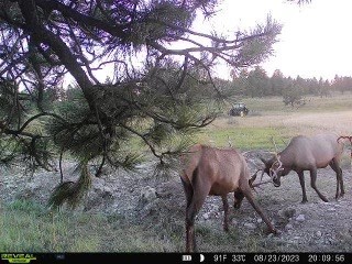 TBD West Parrott Creek, Roundup MT 59072