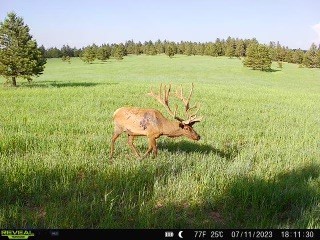 TBD West Parrott Creek, Roundup MT 59072