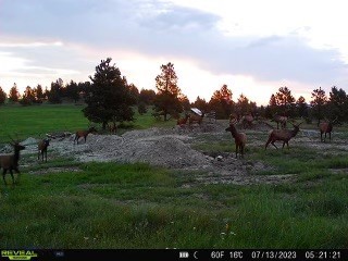 TBD West Parrott Creek, Roundup MT 59072