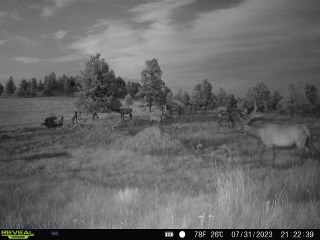 TBD West Parrott Creek, Roundup MT 59072