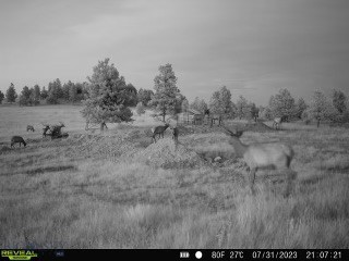 TBD West Parrott Creek, Roundup MT 59072