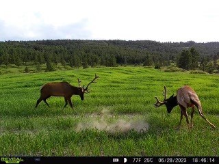 TBD West Parrott Creek, Roundup MT 59072