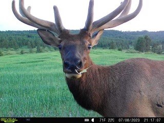 TBD West Parrott Creek, Roundup MT 59072