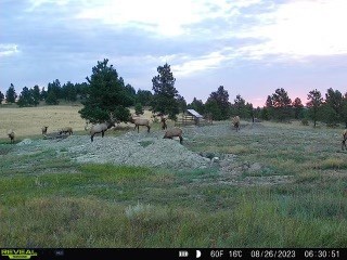 TBD West Parrott Creek, Roundup MT 59072