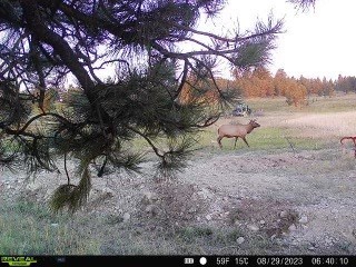 TBD West Parrott Creek, Roundup MT 59072