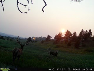 TBD West Parrott Creek, Roundup MT 59072