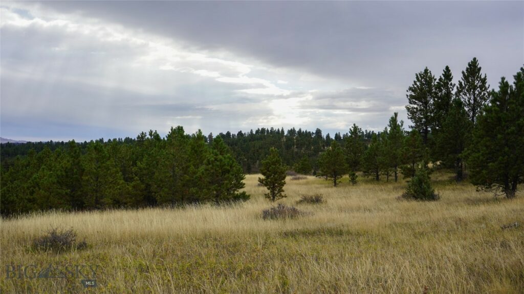 TBD West Parrott Creek, Roundup MT 59072