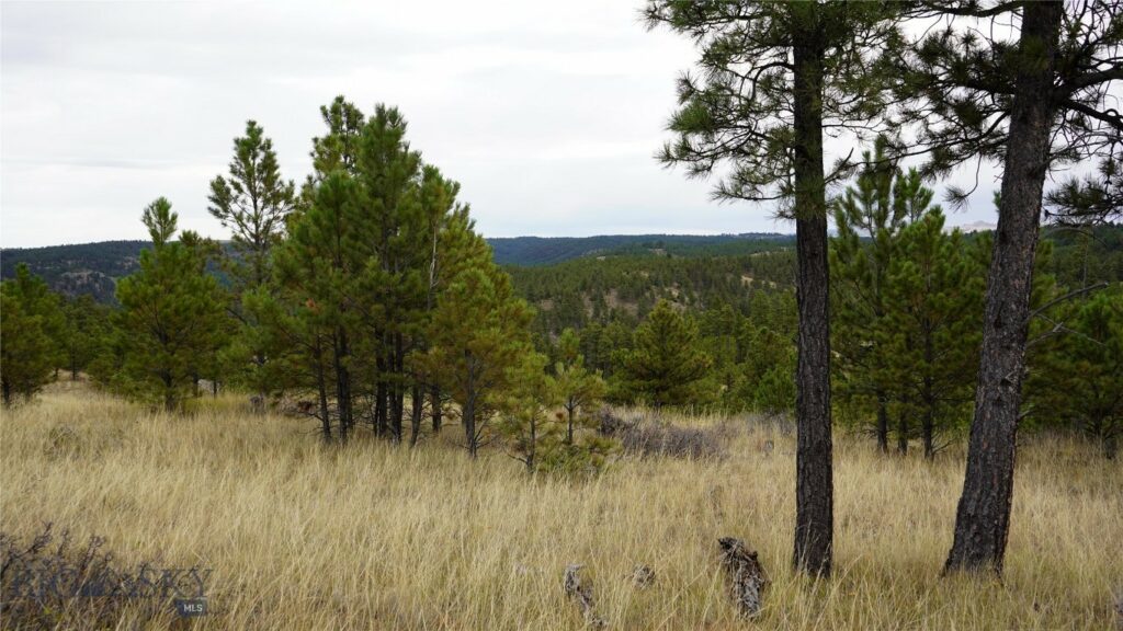 TBD West Parrott Creek, Roundup MT 59072