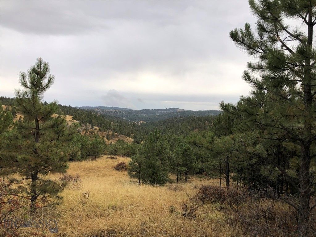 TBD West Parrott Creek, Roundup MT 59072