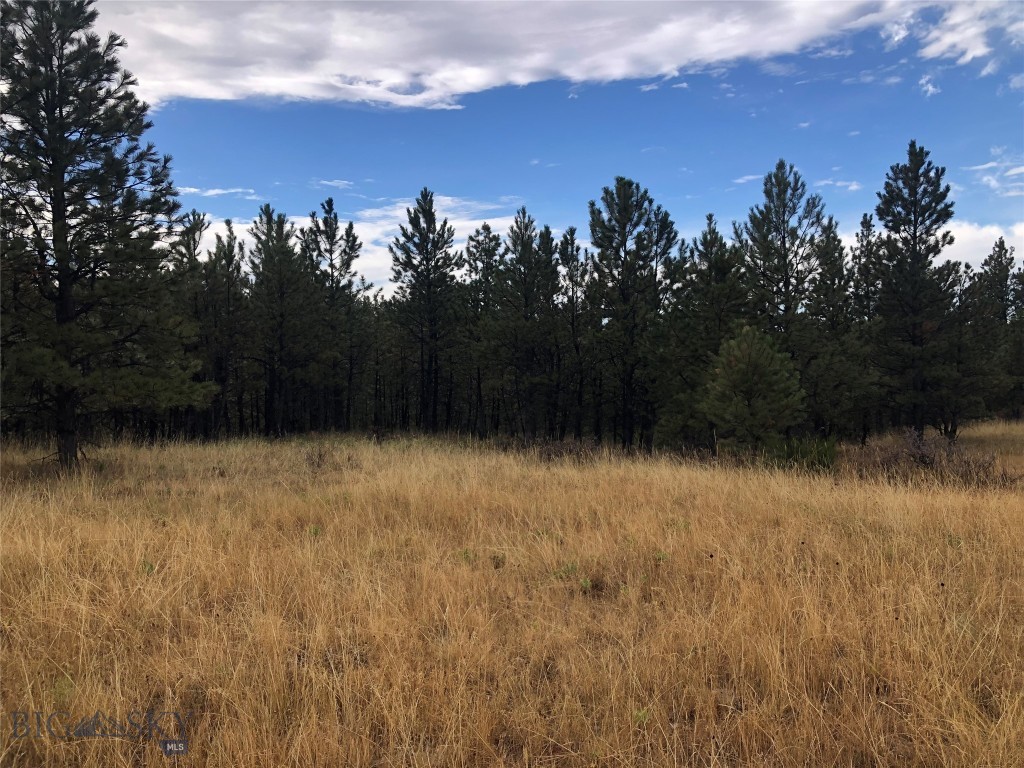 TBD West Parrott Creek, Roundup MT 59072