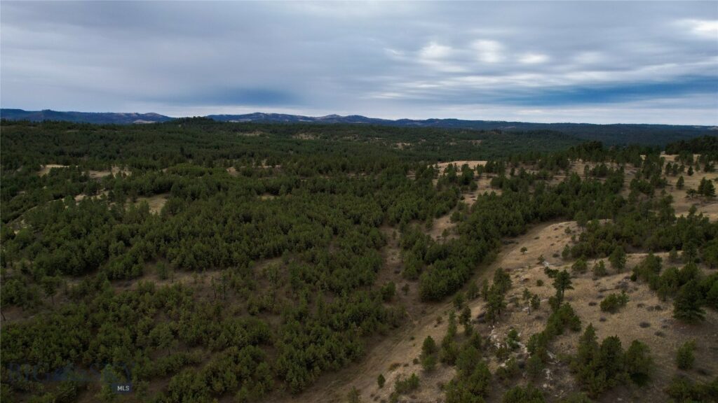 TBD West Parrott Creek, Roundup MT 59072