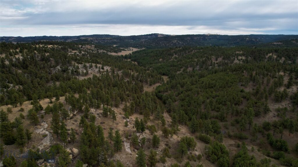 TBD West Parrott Creek, Roundup MT 59072