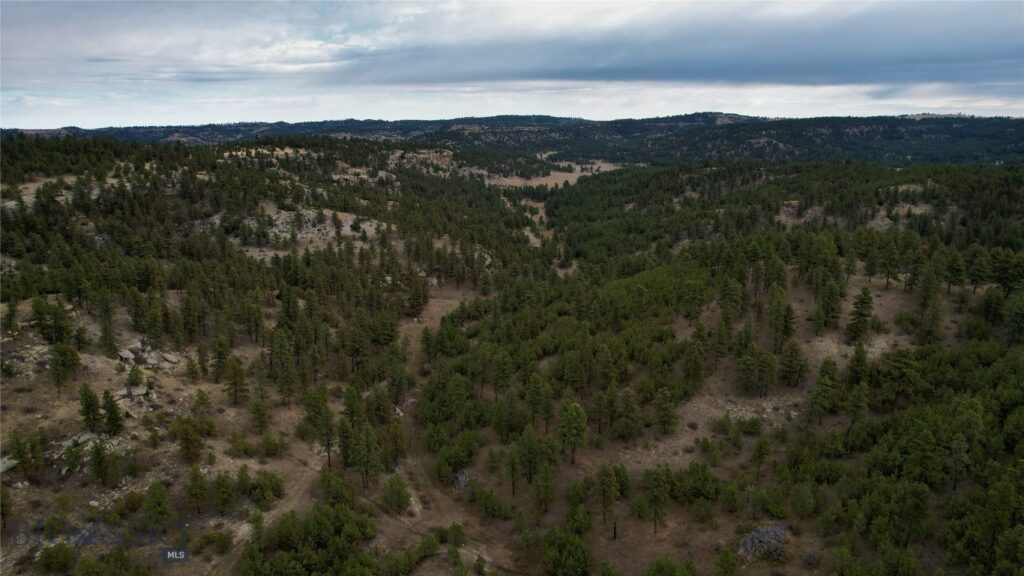 TBD West Parrott Creek, Roundup MT 59072