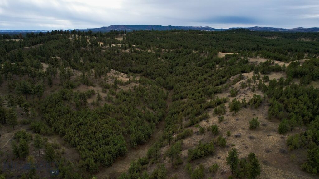 TBD West Parrott Creek, Roundup MT 59072