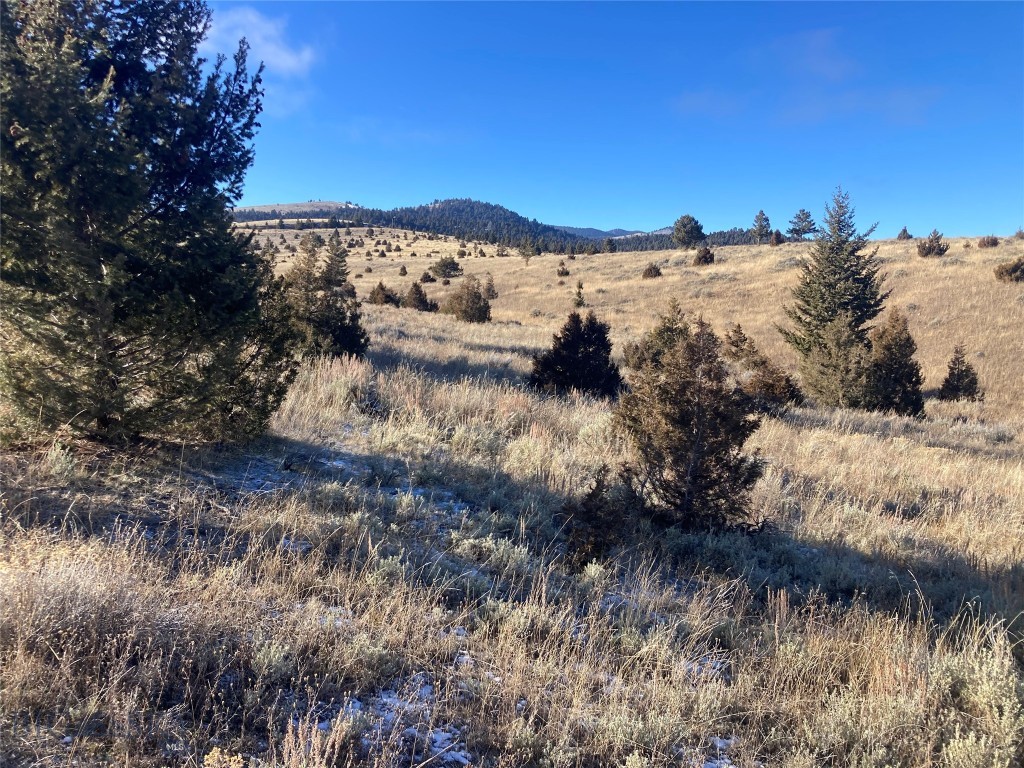 TBD Cedar Hills Road, Whitehall MT 59759