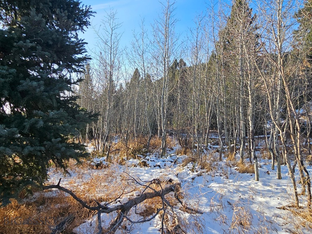 lot 13 South Sun, Cameron MT 59720