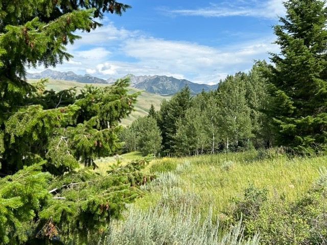 lot 13 South Sun, Cameron MT 59720