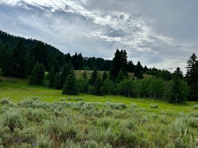 lot 13 South Sun, Cameron MT 59720