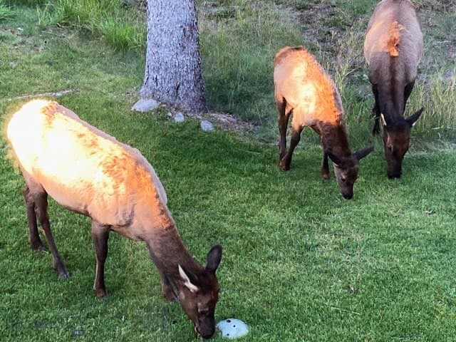 1055 Skywood Road, Big Sky MT 59716