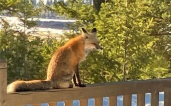 1055 Skywood Road, Big Sky MT 59716