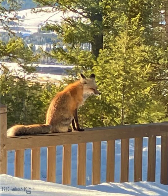 1055 Skywood Road, Big Sky MT 59716