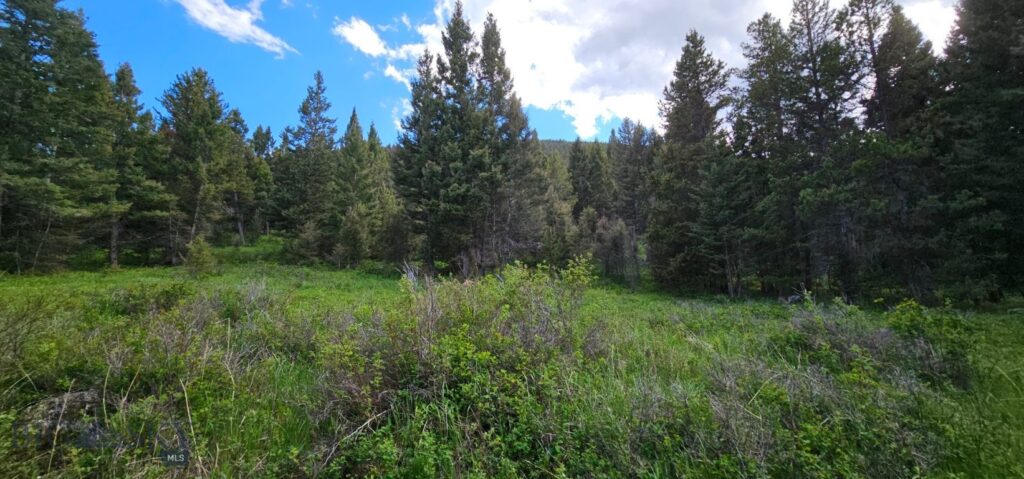 11 Tract, Hall Creek, Helmville MT 59843