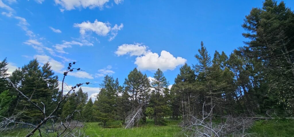11 Tract, Hall Creek, Helmville MT 59843