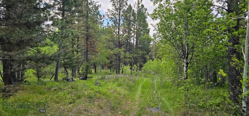 11 Tract, Hall Creek, Helmville MT 59843