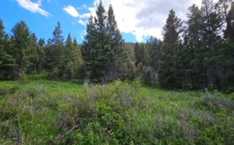 11 Tract, Hall Creek, Helmville MT 59843