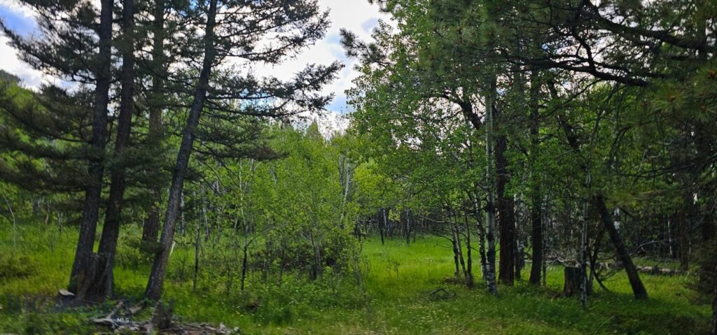 11 Tract, Hall Creek, Helmville MT 59843